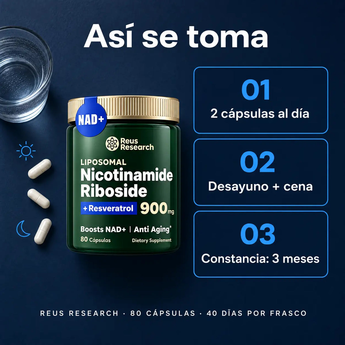Nicotinamide Riboside NAD + Resveratrol