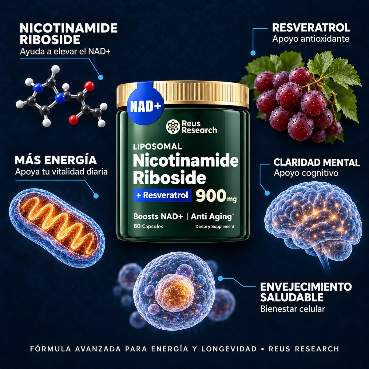 Nicotinamide Riboside NAD + Resveratrol